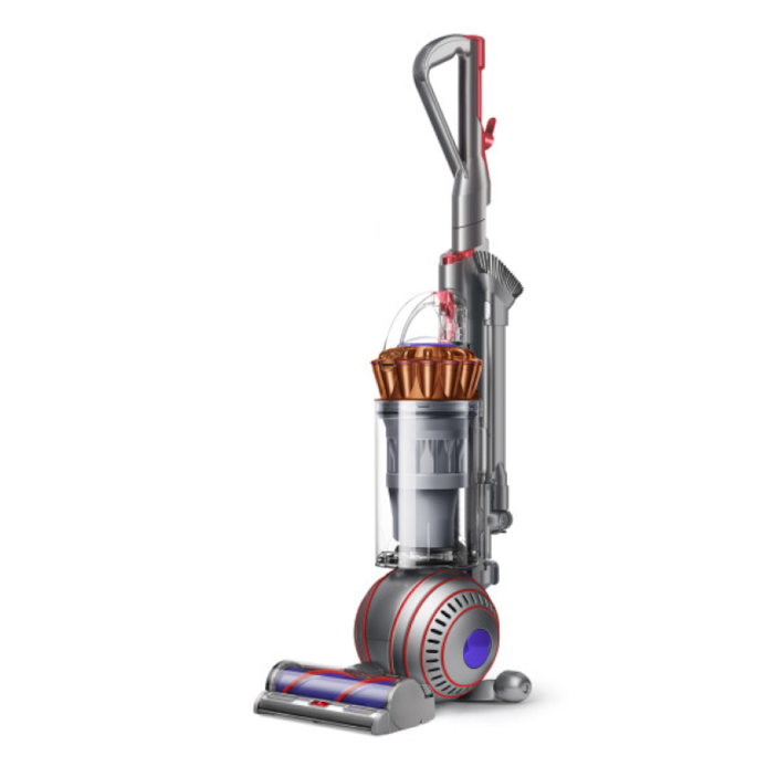 Dyson v10 animal home depot cheap